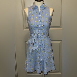 J. Crew Striped blue -white dress with lemon print.